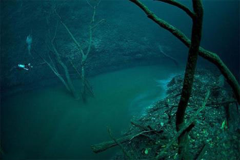 El cenote Angelita en Yucatán, maravillas en el agua 1