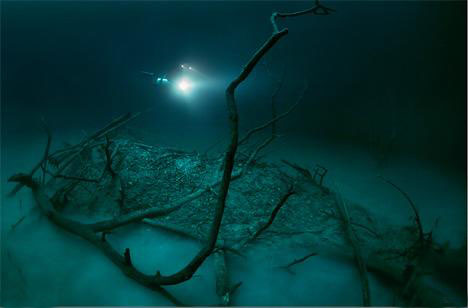 El cenote Angelita en Yucatán, maravillas en el agua 4
