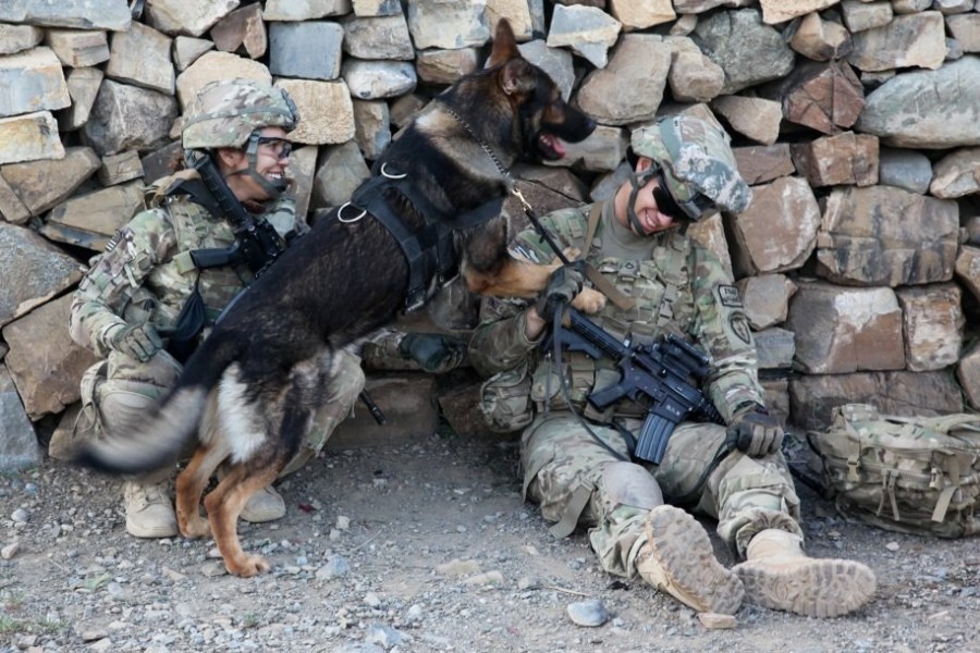 2012: las mejores fotografías militares de estados unidos