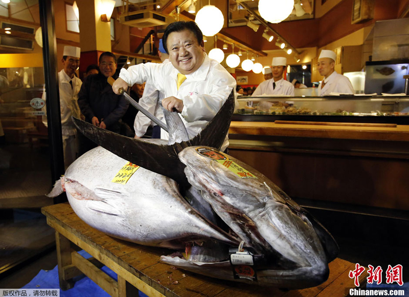 El atún rojo más caro del mundo 1