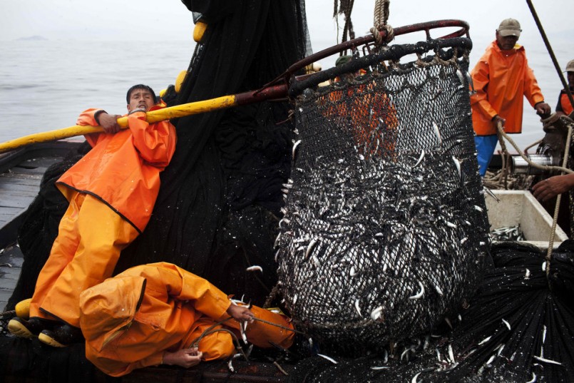 Record: la vida dura de los pescadores en Perú