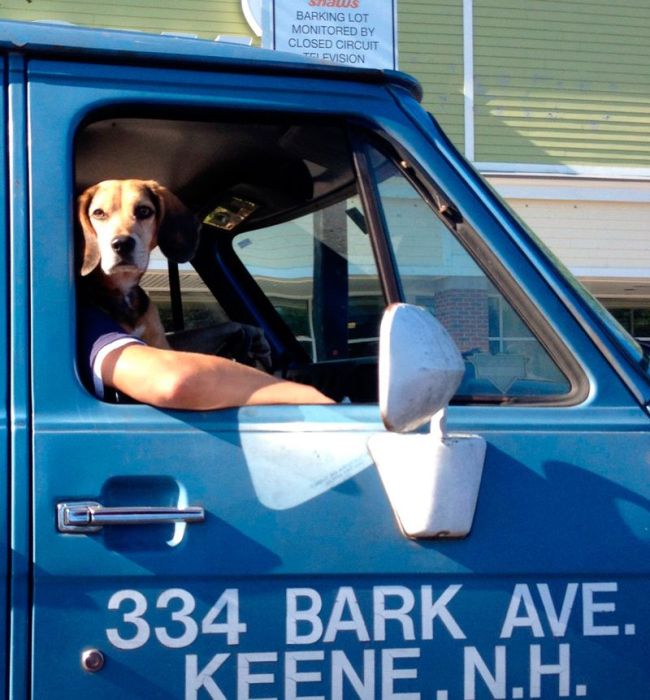 Fotos graciosas para no parar de reir