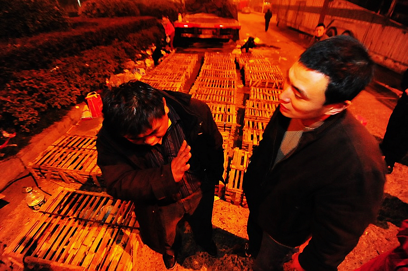 Más de 1.000 gatos escapan del menú gracias a un accidente, sociedad, CHina, 