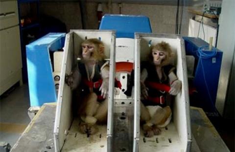 Irán pone fecha al lanzamiento de un mono al espacio