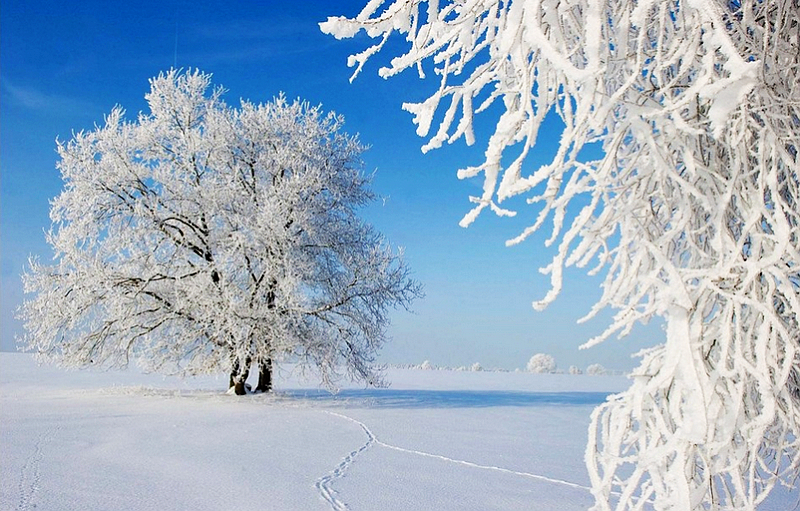 Las mejores fotos del paisaje de invierno_Spanish.china.org.cn_中国最权威的