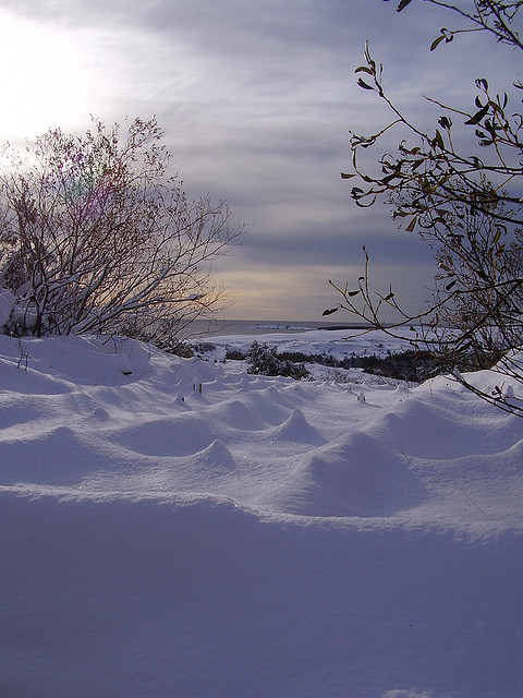 Curonian Spit, Lituania