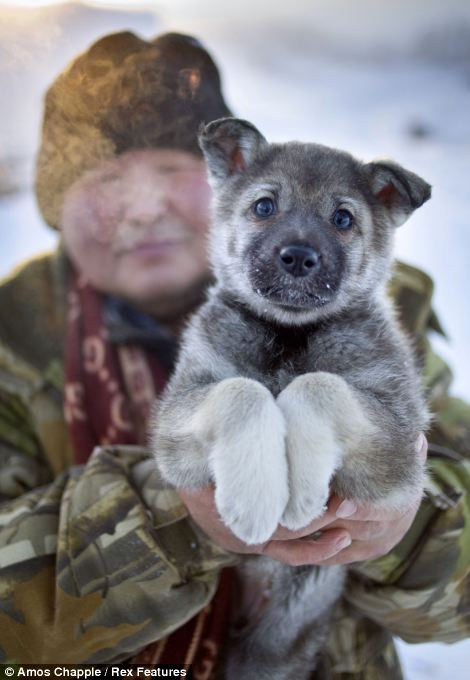 Oymyakon, la ciudad más fría del mundo