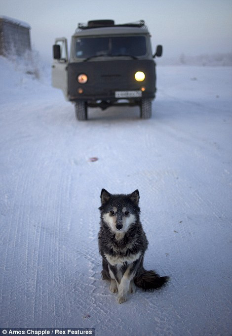 Oymyakon, la ciudad más fría del mundo