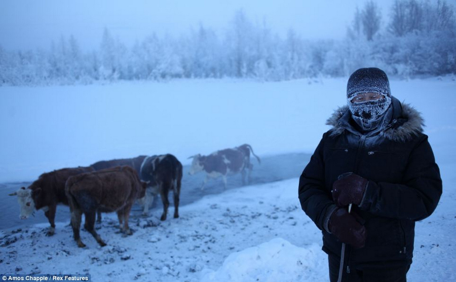 Oymyakon, la ciudad más fría del mundo