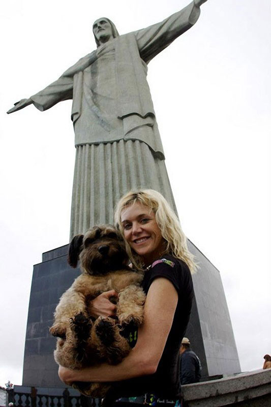 Oscar finalizó sus aventuras como un famoso perro trotamundo 7
