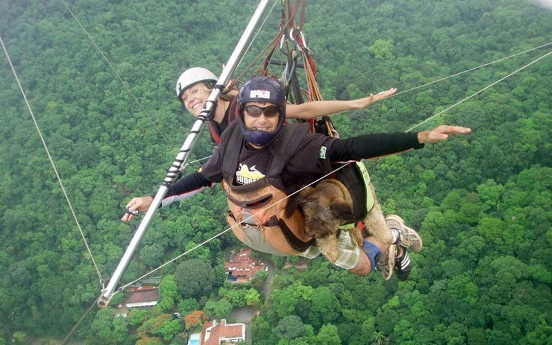 Oscar finalizó sus aventuras como un famoso perro trotamundo 12