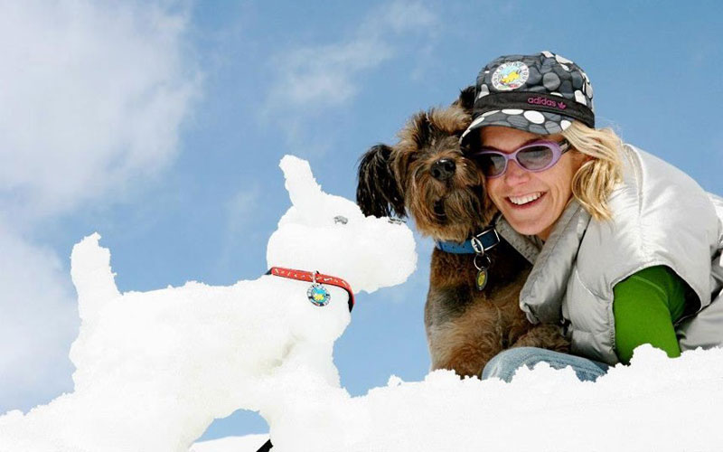 Oscar finalizó sus aventuras como un famoso perro trotamundo 19
