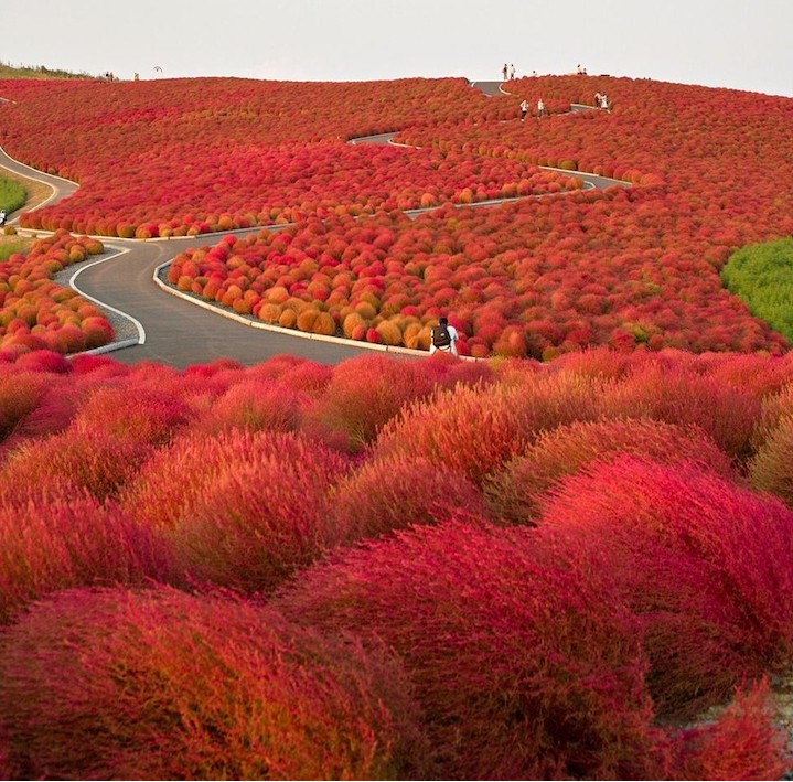 Maravillosos lugares del mundo para fotografiar 11