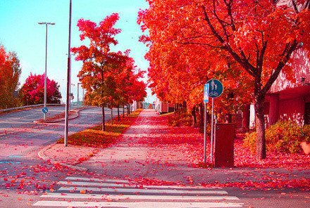  12Lugares románticos para una cita