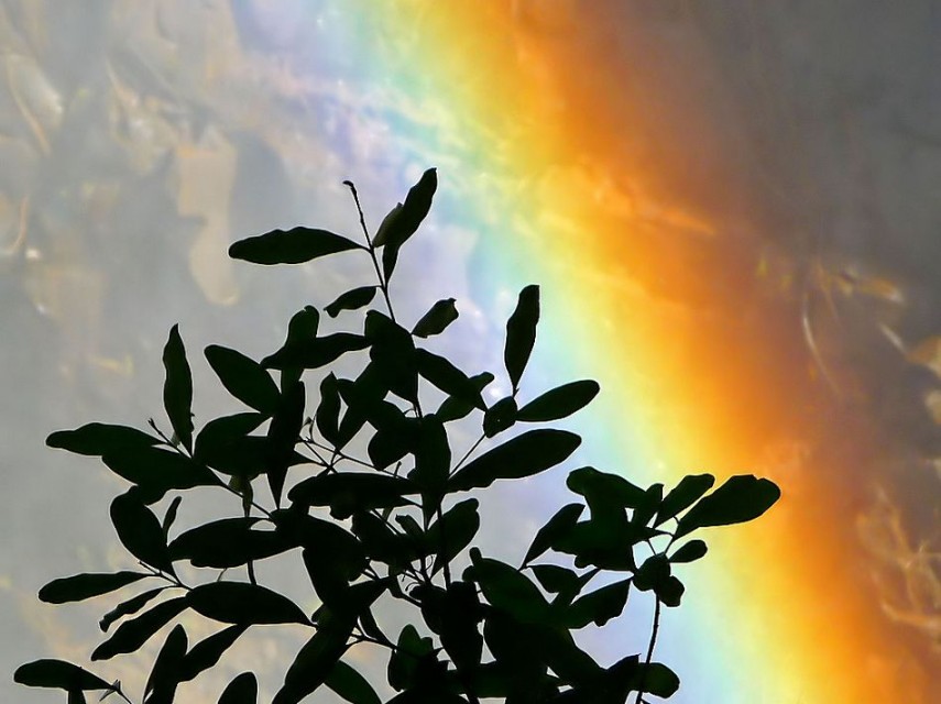 Las cataratas y arco iris más bellos del mundo