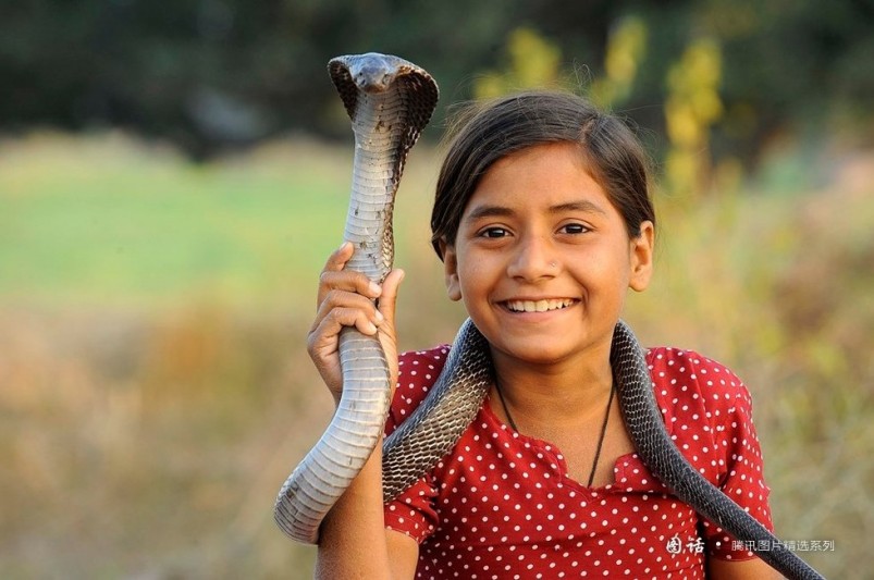 Año de Serpiente: momentos suaves entre la gente y serpientes