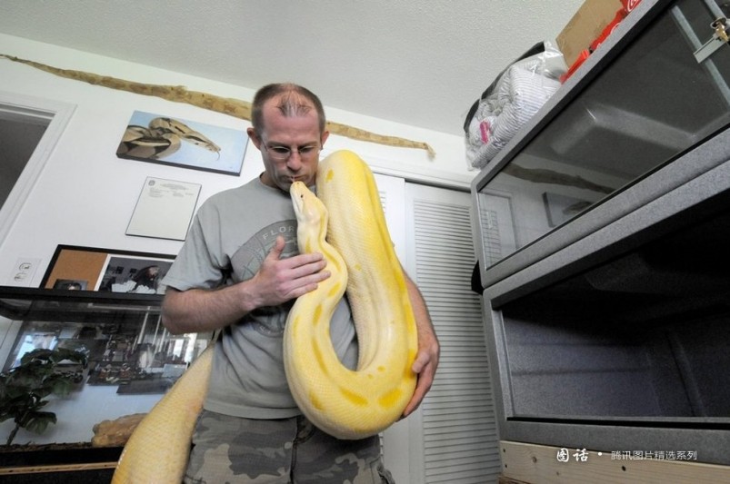 Año de Serpiente: momentos suaves entre la gente y serpientes