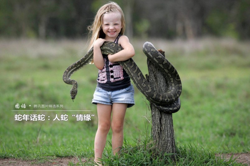 Año de Serpiente: momentos suaves entre la gente y serpientes