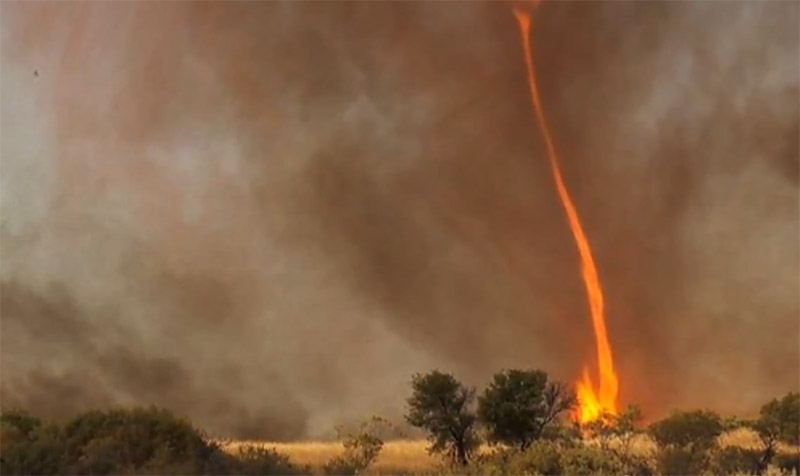 Tornado del fuego