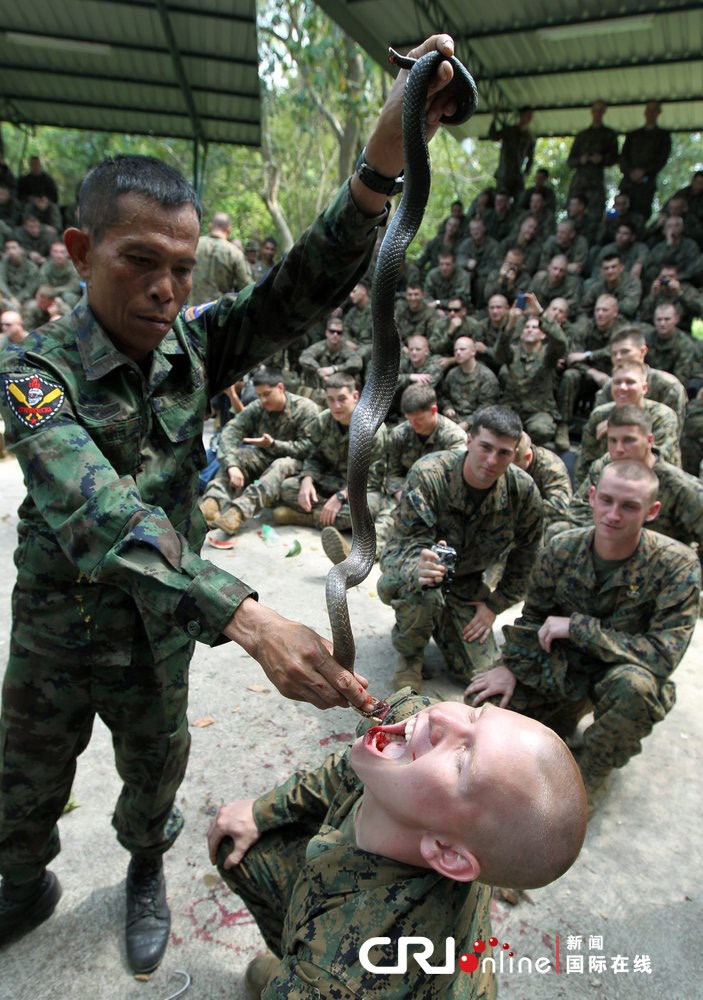 soldados norteamericanos beben sangre de animales
