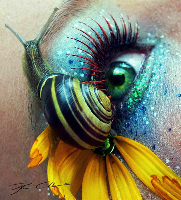 Diseño artístico del maquillaje de ojos 15