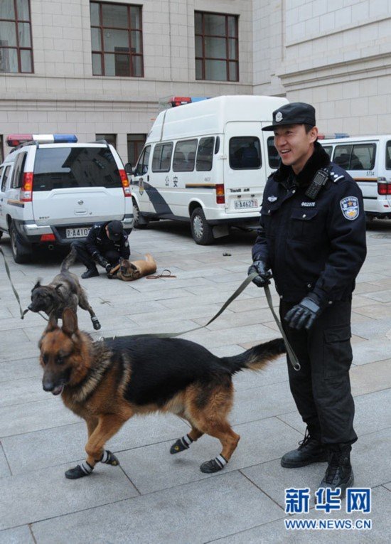 Los perros policía preparan para la seguridad de las dos sesiones