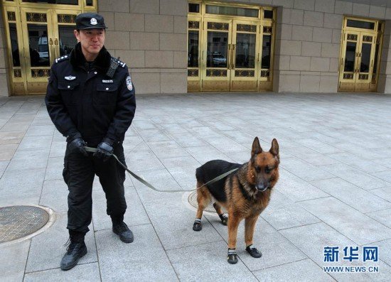 Los perros policía preparan para la seguridad de las dos sesiones