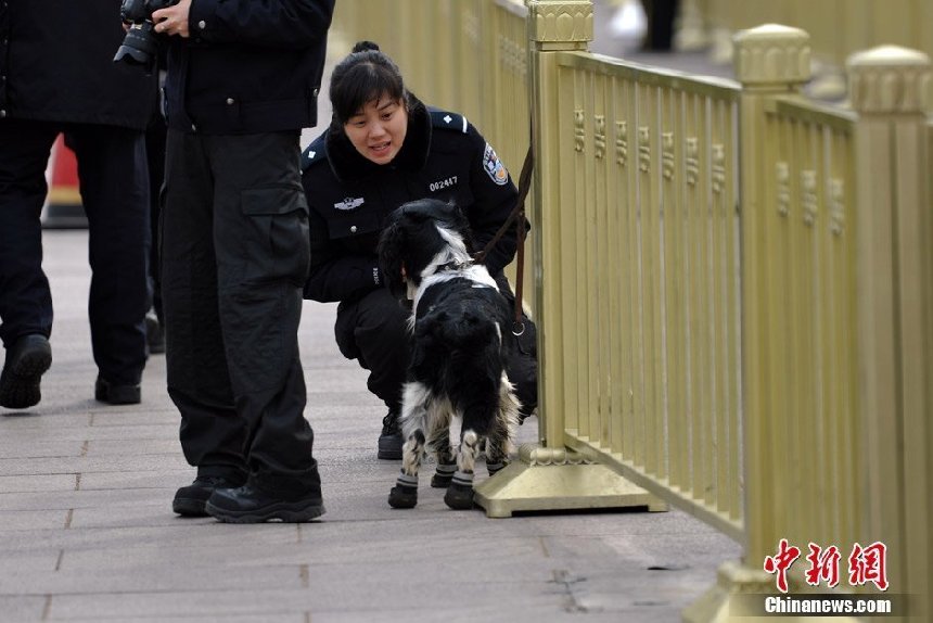 Los perros policía preparan para la seguridad de las dos sesiones