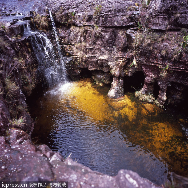 Descubre los maravillosos paisajes del país de Chávez 11