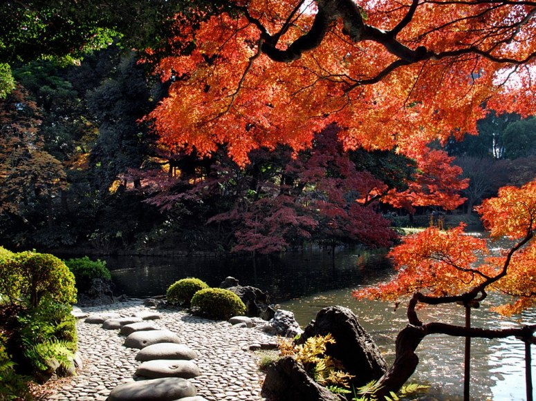 Los más bellos jardines botánicos en el Planeta 7