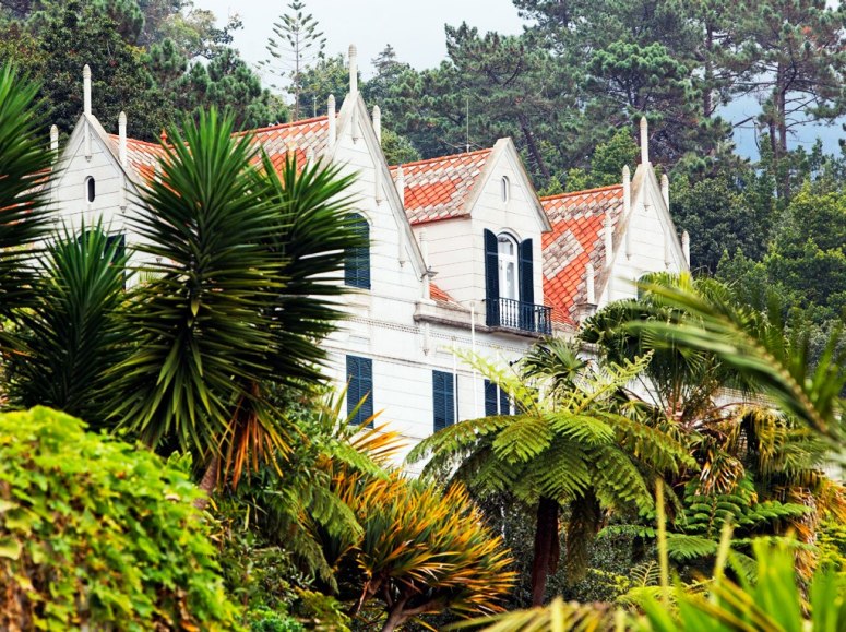 Los más bellos jardines botánicos en el Planeta 8