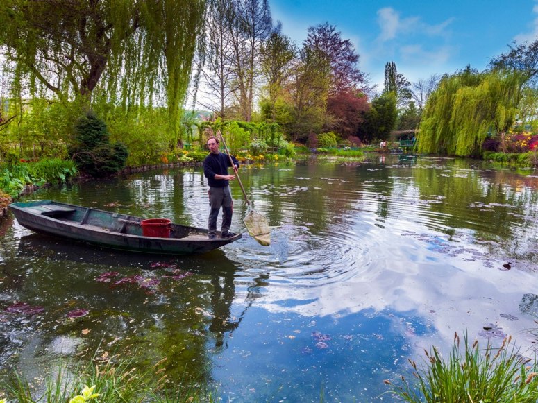 Los más bellos jardines botánicos en el Planeta 9