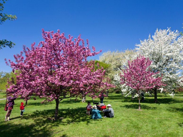 Los más bellos jardines botánicos en el Planeta 15