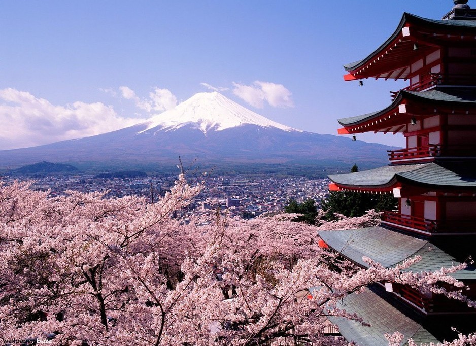 Japón se encuentra en el mejor periodo de cerezos 35
