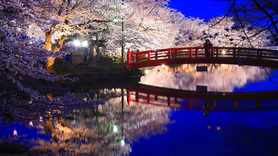 Japón se encuentra en el mejor periodo de cerezos 26