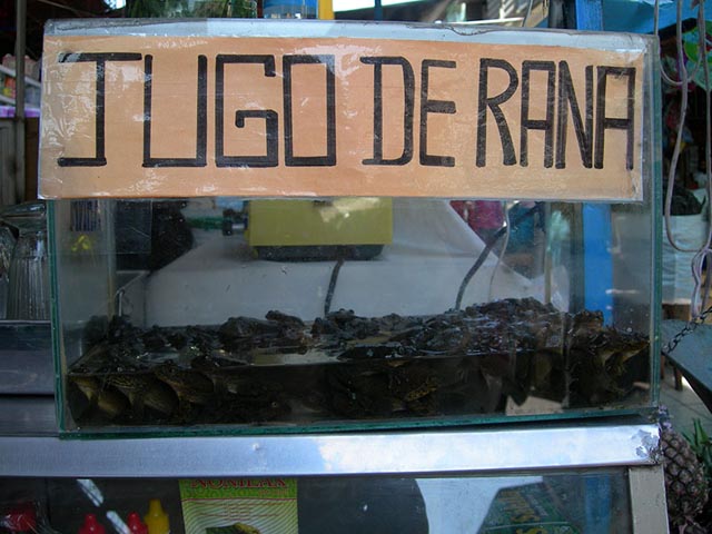 Jugo de rana, la increíble bebida en Perú 8