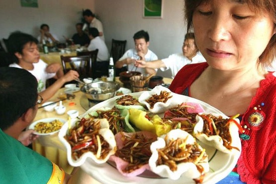 Horrible ¿Te atreves a comer los insectos?