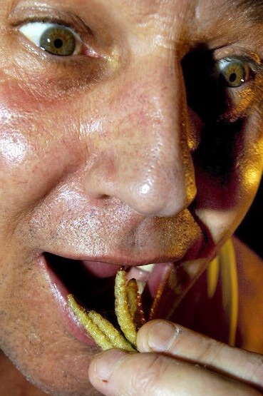 Horrible ¿Te atreves a comer los insectos?