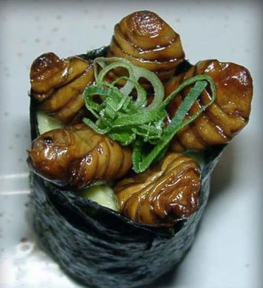 Horrible ¿Te atreves a comer los insectos?