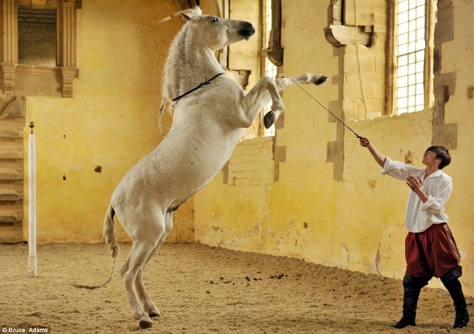 El ballet de los caballos, arte rehabilitado en Inglaterra tras su desaparición de hace 300 años 1