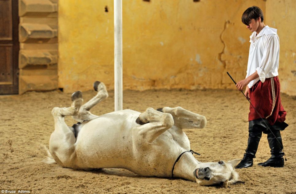 El ballet de los caballos, arte rehabilitado en Inglaterra tras su desaparición de hace 300 años 6