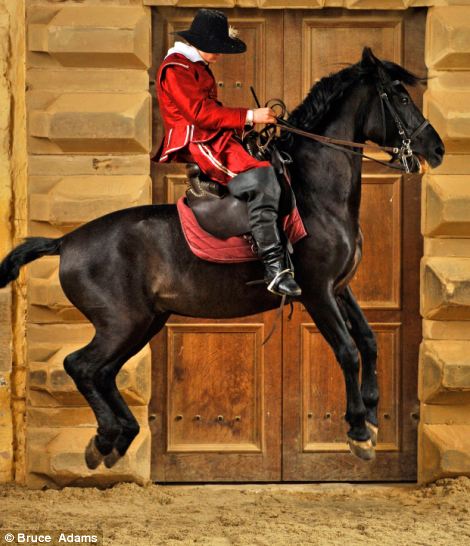 El ballet de los caballos, arte rehabilitado en Inglaterra tras su desaparición de hace 300 años 11