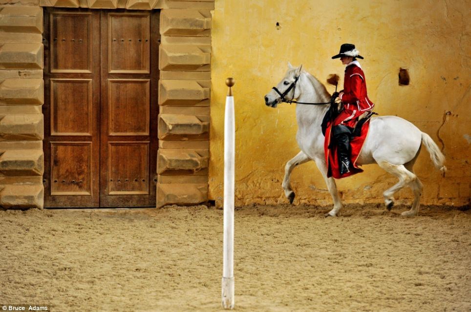 El ballet de los caballos, arte rehabilitado en Inglaterra tras su desaparición de hace 300 años 13