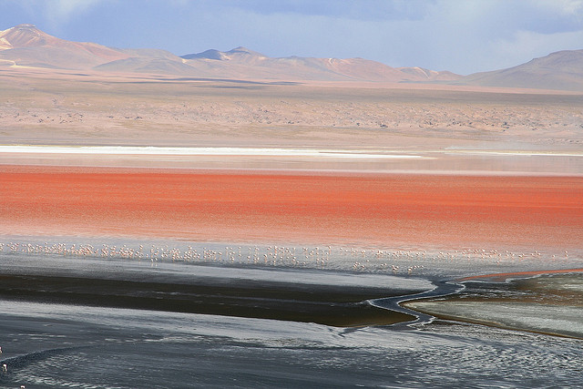 TOP 10 paisajes del Altiplano de los Andes Centrales que cuesta creer que existen 【Parte I】 21