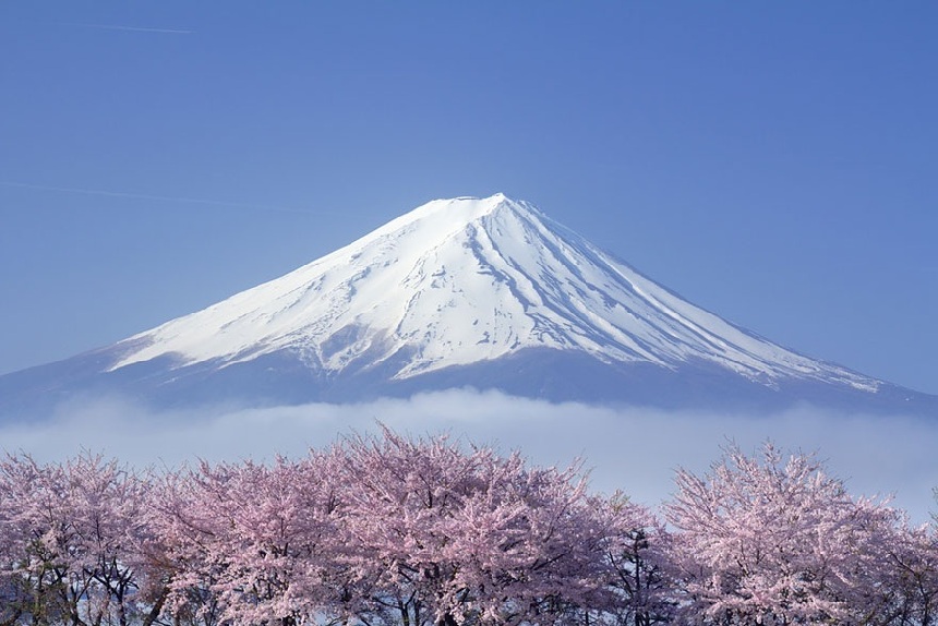 Paisajes hermosos de la flor del cerezo por todo el mundo