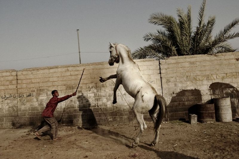 Colección de fotos más conmovidas sobre la guerra de Irak según Time (II)