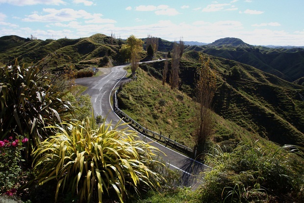 Top 10 carreteras con paisajes más hermosos del mundo Carretera en Nueva Zelanda