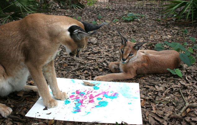 ¿Vas a comprar una de estas cuadros pintados por los felinos?