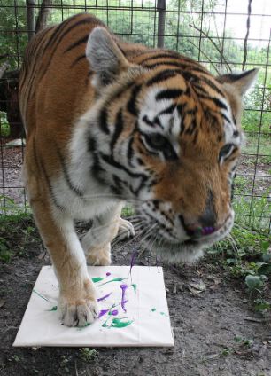 ¿Vas a comprar una de estas cuadros pintados por los felinos?