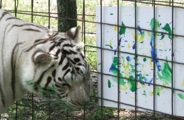 ¿Vas a comprar una de estas cuadros pintados por los felinos?